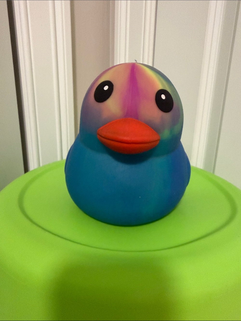 SQUISH: Colorful Blue & Rainbow Duck